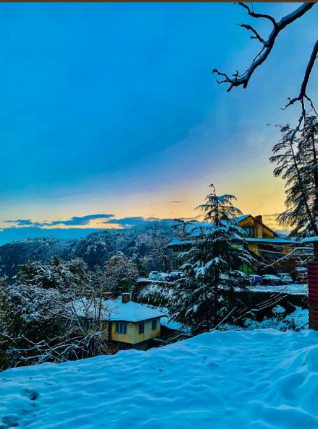 Shimla